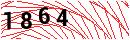 Security Verification