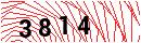 Security Verification