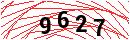 Security Verification