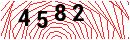 Security Verification