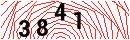 Security Verification