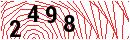 Security Verification