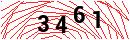 Security Verification