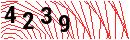 Security Verification