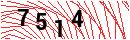 Security Verification