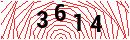 Security Verification