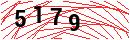 Security Verification