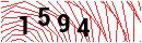 Security Verification