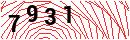 Security Verification