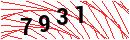 Security Verification