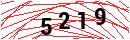 Security Verification