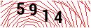Security Verification
