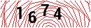 Security Verification