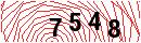 Security Verification