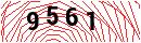 Security Verification