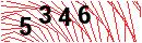 Security Verification