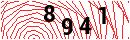 Security Verification