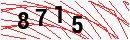 Security Verification