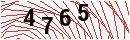 Security Verification