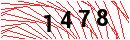 Security Verification