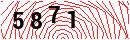Security Verification