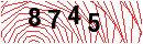 Security Verification