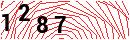 Security Verification