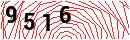 Security Verification