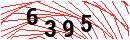 Security Verification