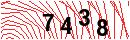 Security Verification