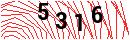 Security Verification