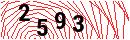 Security Verification