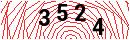 Security Verification
