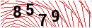 Security Verification