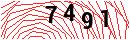Security Verification