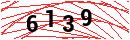 Security Verification