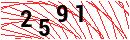 Security Verification