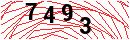 Security Verification