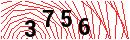 Security Verification