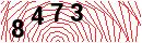 Security Verification