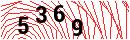 Security Verification