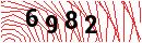 Security Verification