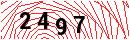 Security Verification