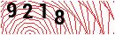 Security Verification