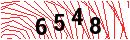 Security Verification