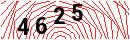 Security Verification