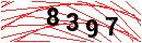 Security Verification