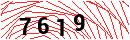Security Verification