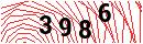 Security Verification