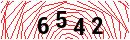 Security Verification